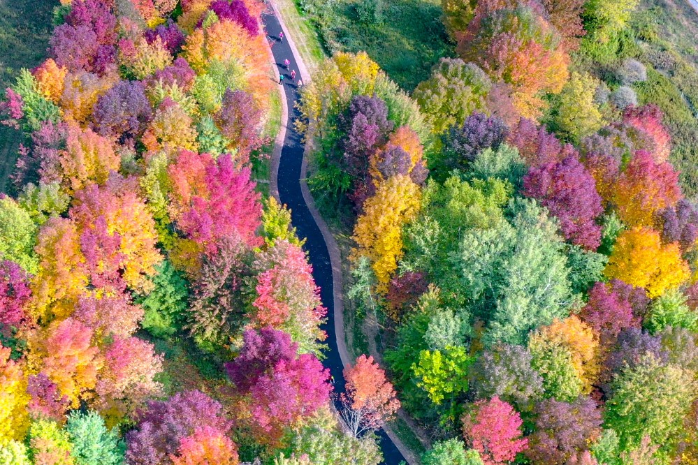 Rib Mountain Aerial Photo of Trillium Fall Colors