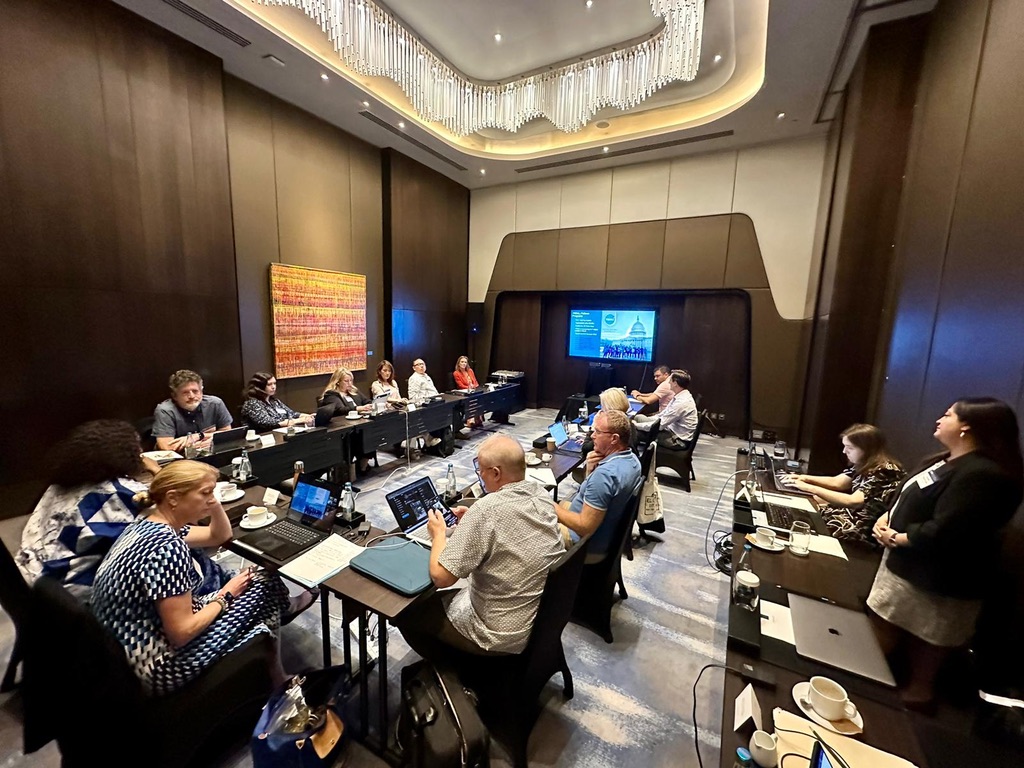 International Committee members in meeting room