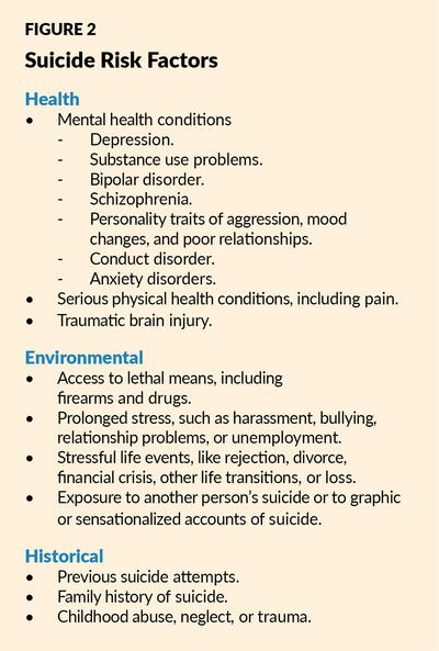 Suicide Risk Factors