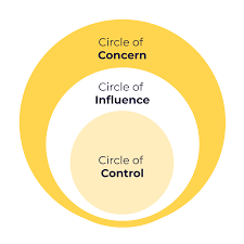 Steven Covey 3 circles