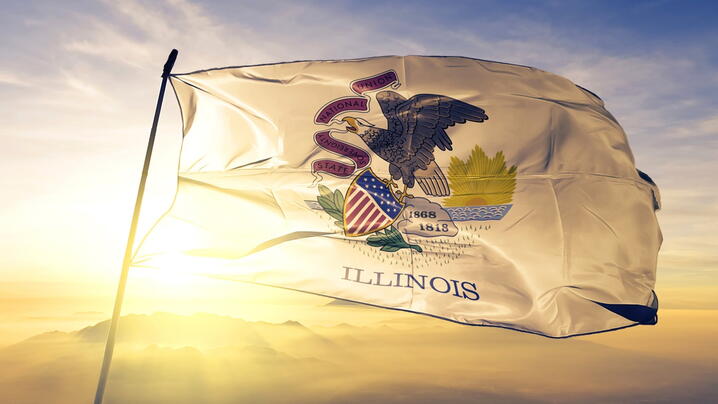 Image of the state flag of Illinois