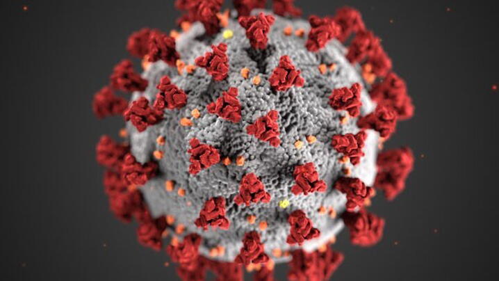 image of coronavirus image of coronavirus