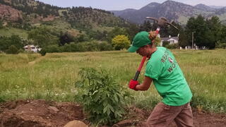 Photo of landscaper