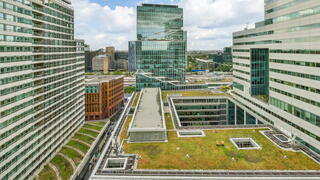 A green roof on the top of an office building in Vancouver, Canada