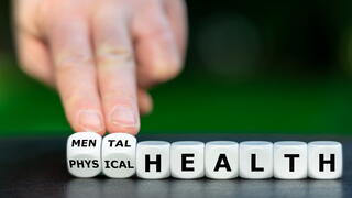 Image of "mental" and "physical" on blocks