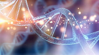 Image of DNA