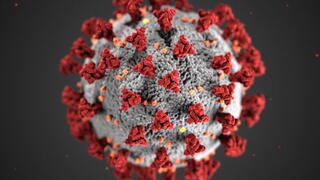 image of coronavirus image of coronavirus