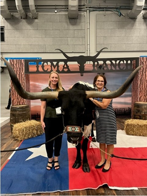 ICMA Austin Steer