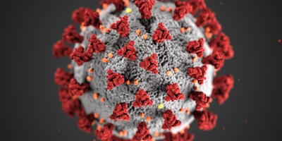 image of coronavirus